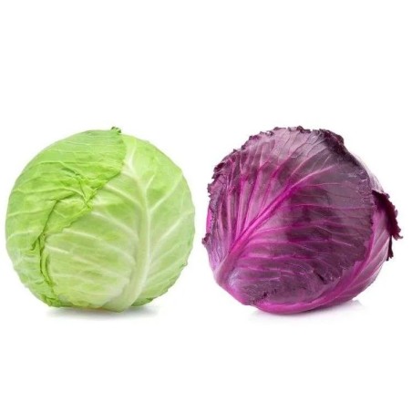 Repollo por unidad
