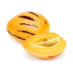 Pepino fruta por kilo