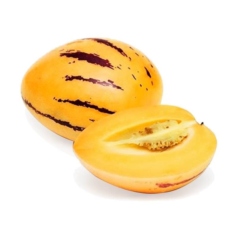 Pepino fruta por kilo