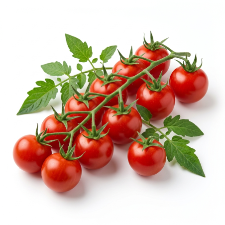 Tomate Cherry