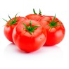 Tomate por kilo