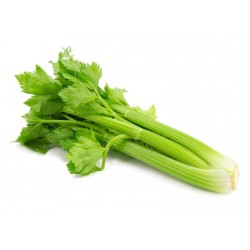 Apio ensalada por unidad